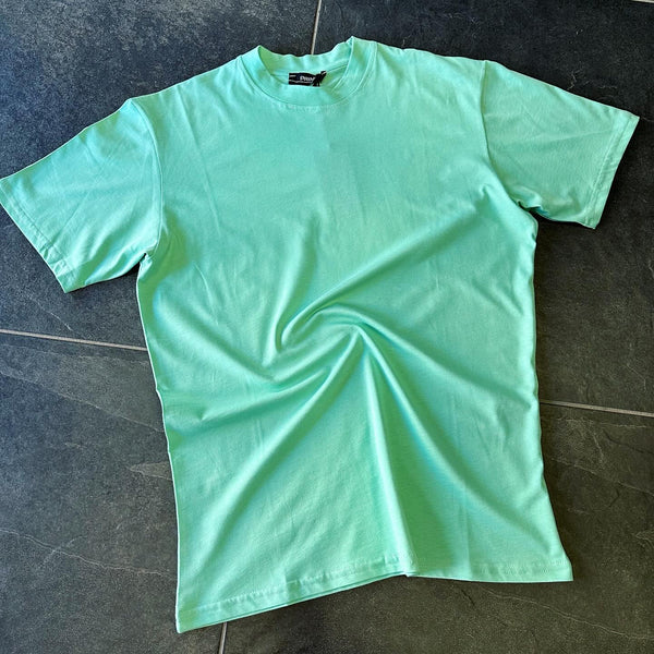 DTS240 VERDE ACQUA - T-shirt uomo - prince